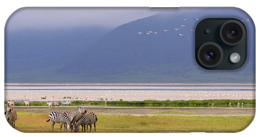 Grass iPhone Case featuring the photograph Zebras And Pink Flamingos - Tanzania by Christophe Paquignon