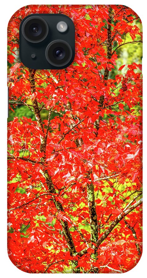 Red iPhone Case featuring the photograph Flaming Red by Ed Newell