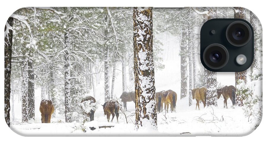 Stallion iPhone Case featuring the photograph Winter in the Forest. by Paul Martin