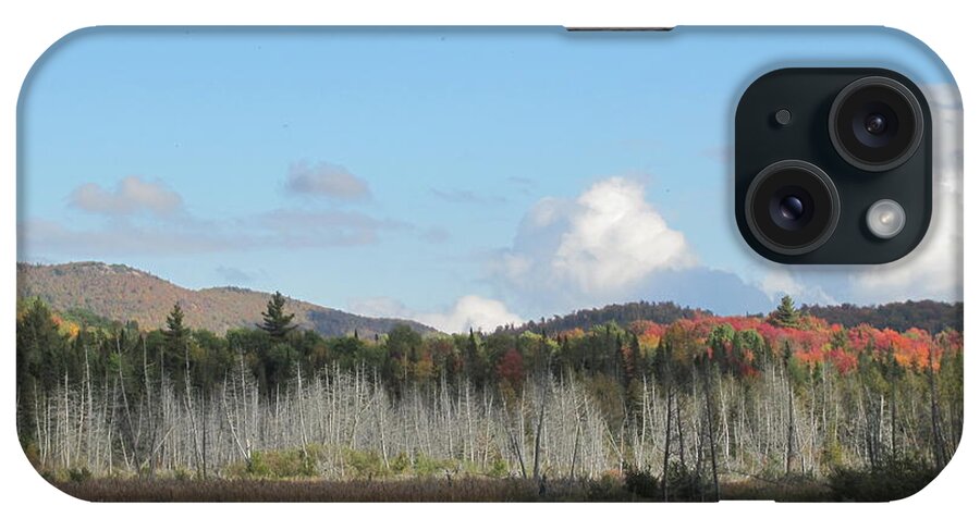 Adirondacks iPhone Case featuring the photograph Adirondack Afternoon #1 by Edward Theilmann