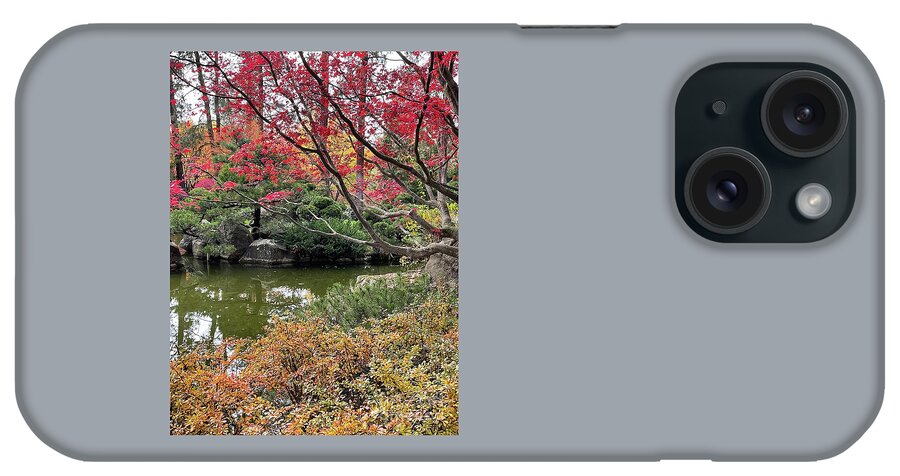 Chipmunk iPhone Case featuring the photograph Balancing Act #2 by Carol Groenen