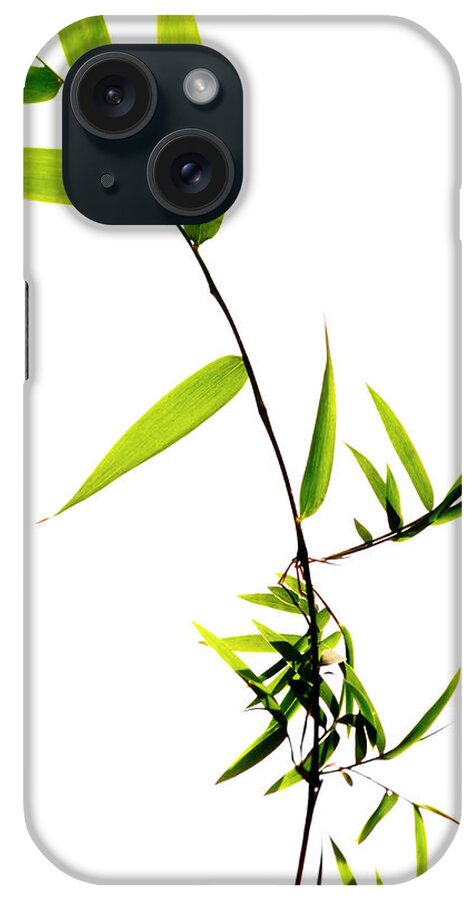 Bamboo iPhone Case featuring the photograph Bamboo Leaves #1 by Christopher Johnson
