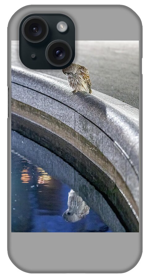 Wildlife iPhone Case featuring the photograph Barry the Central Park Barred Owl with Her Reflection - Frame 3/3 by David Lei