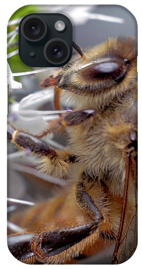 Bee iPhone Case featuring the photograph Bee 1 #1 by Endre Balogh