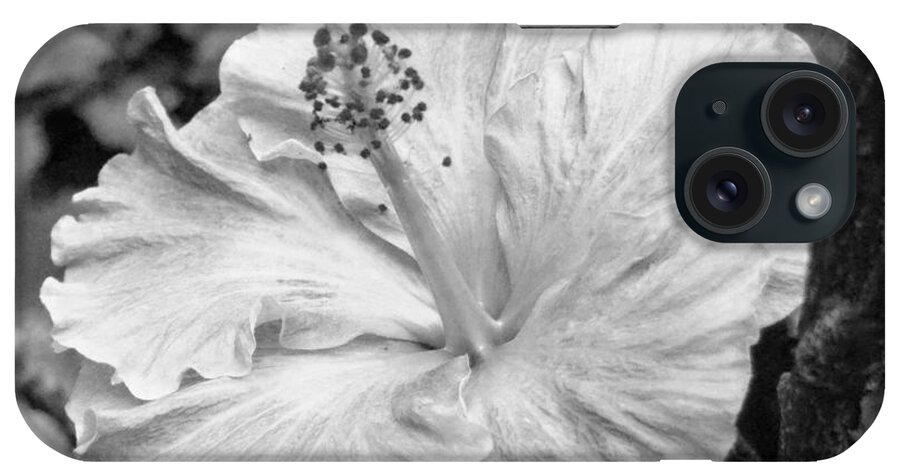 Flower iPhone Case featuring the photograph Black and White Hibiscus 2 #1 by Amy Fose