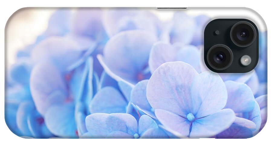 Blue Hydrangea iPhone Case featuring the photograph Blue Hydrangea a by Lilia S