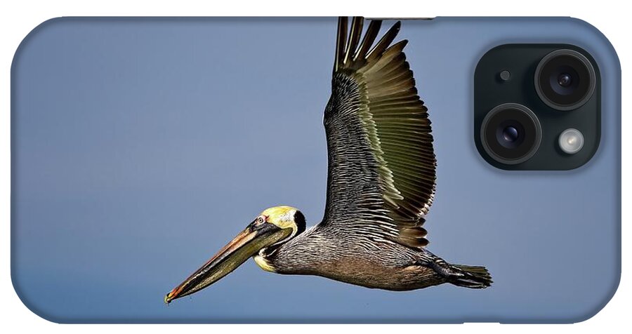 America iPhone Case featuring the photograph Male Brown Pelican flying along John's Pass by Ronald Lutz