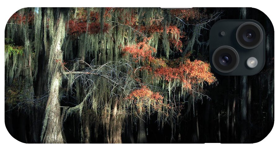  iPhone Case featuring the photograph Caddo Lake State Park - Texas #1 by William Rainey