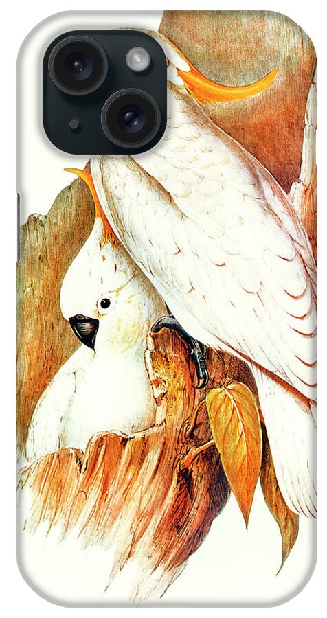 Crested Cockatoo iPhone Case featuring the drawing Crested Cockatoo #1 by Elizabeth Gould