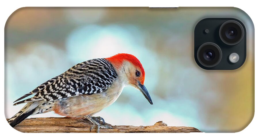 Bird iPhone Case featuring the photograph Curious Woody by Bill and Linda Tiepelman
