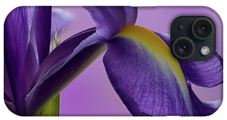 Floral iPhone Case featuring the photograph Dutch Iris #1 by Shirley Mitchell