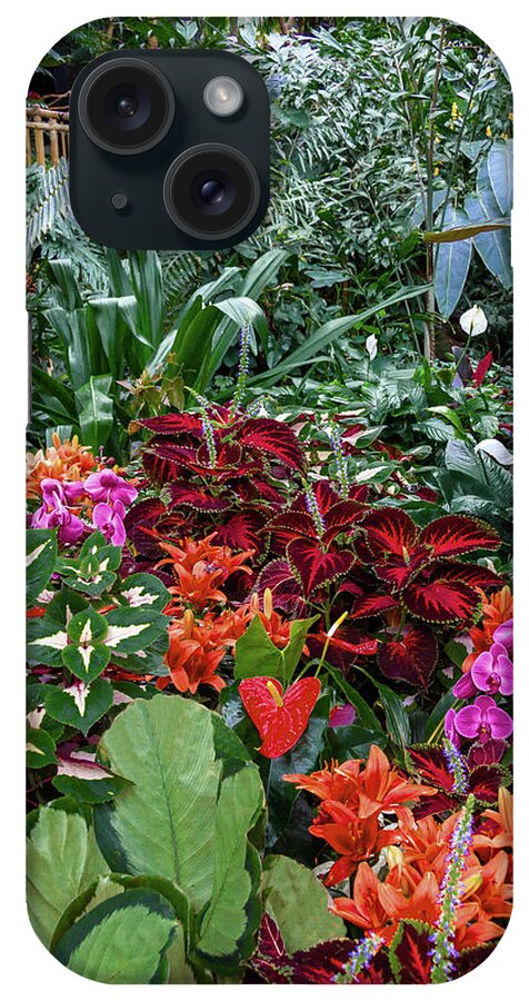 Alex Lyubar iPhone Case featuring the photograph Exotic Evergreen Plants in a Greenhouse #1 by Alex Lyubar