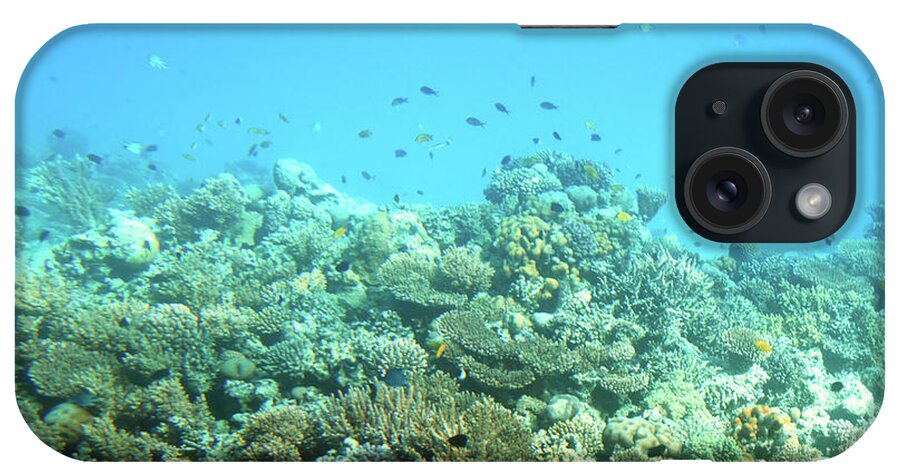 Sea iPhone Case featuring the photograph fish among corals in Red Sea #1 by Mikhail Kokhanchikov