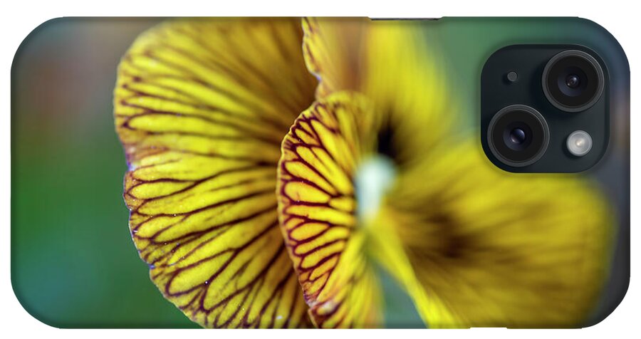  iPhone Case featuring the photograph Flower Abstract 9035-032024 #1 by Tam Ryan