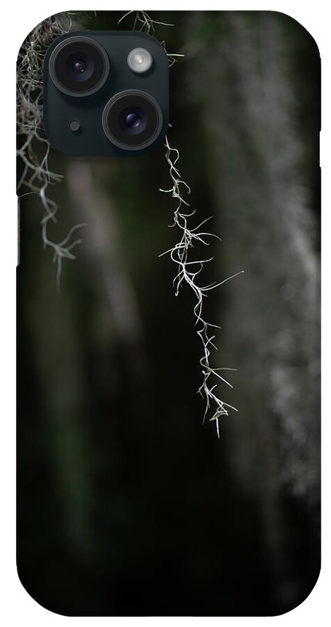 Moss iPhone Case featuring the photograph Georgia Tree Moss #1 by Dennis Dame