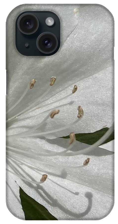 Gratitude iPhone Case featuring the photograph Gratitude #1 by Shannon Grissom
