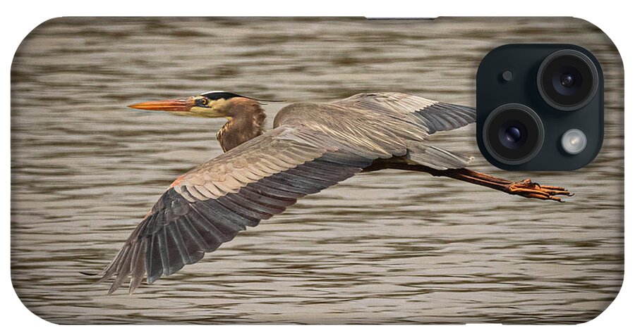 Herron iPhone Case featuring the photograph Herron Wingbeat 3 #1 by Al Griffin