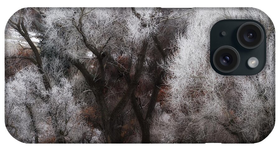 Co iPhone Case featuring the photograph Hoar Frost #2 by Doug Wittrock