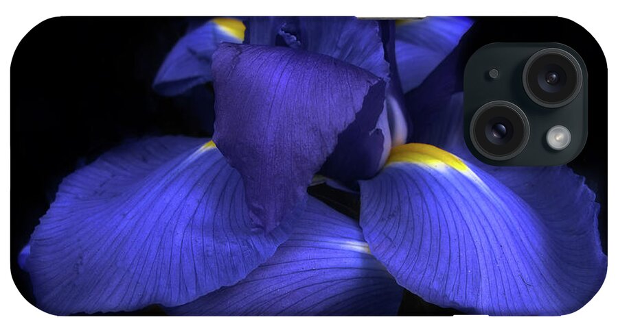 Flowers iPhone Case featuring the photograph Iris by Jessica Jenney