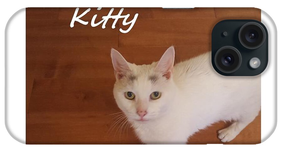 Cats iPhone Case featuring the photograph Kitty #1 by Diane Strain