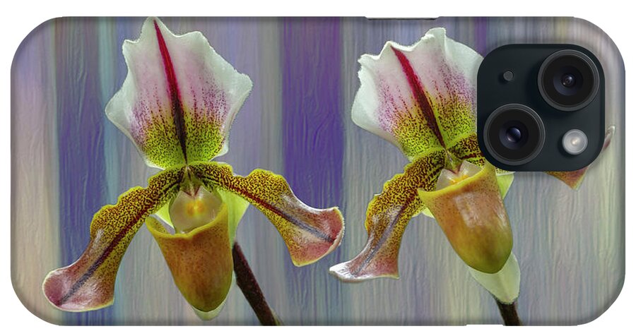 Lady Slipper Orchid iPhone Case featuring the photograph Lady Slipper Orchid #1 by Cate Franklyn