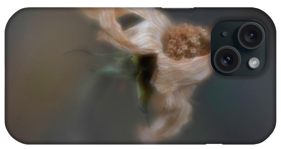 #cosmos #flowers #pastitsprime #lovelydeadcrap #soft #lensbaby #fadedbeauty #beige #floral #whimsical #lastdance #driedflowers #christine Karge Dewey Photography #forestfloorphotography iPhone Case featuring the photograph Last Dance #1 by Forest Floor Photography