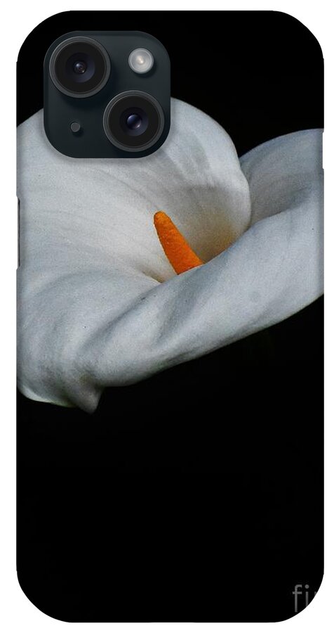 Lily iPhone Case featuring the photograph Lily #1 by Jimmy Chuck Smith