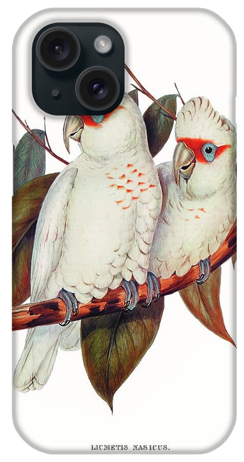 Parakeet iPhone Case featuring the drawing Long-billed Cockatoo #1 by Elizabeth Gould