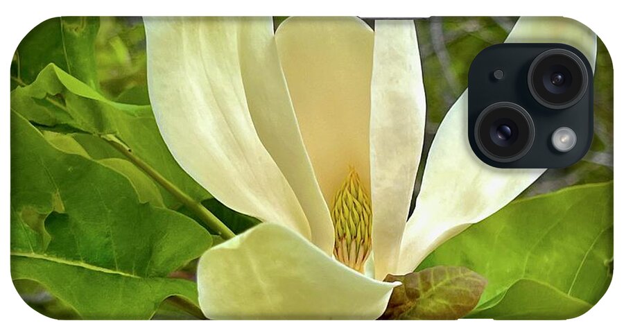  iPhone Case featuring the photograph Magnolia blossom #1 by Meta Gatschenberger