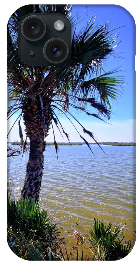 Lagoon iPhone Case featuring the photograph Mosquito Lagoon #1 by George Taylor