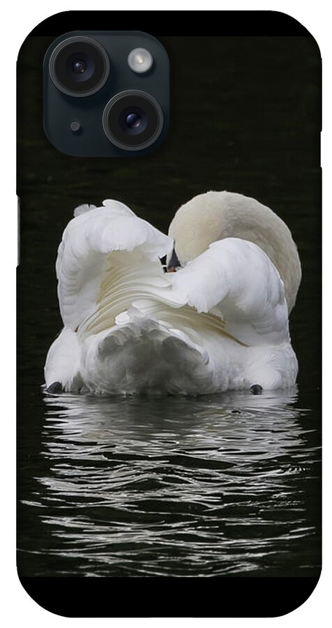 Flyladyphotographybywendycooper iPhone Case featuring the photograph Mute Swan #1 by Wendy Cooper