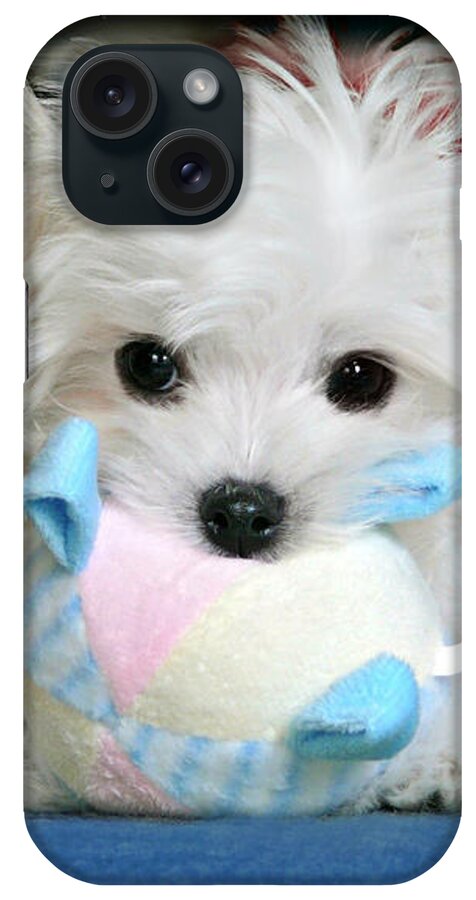 Maltese Puppy iPhone Case featuring the mixed media My Ball #1 by Morag Bates