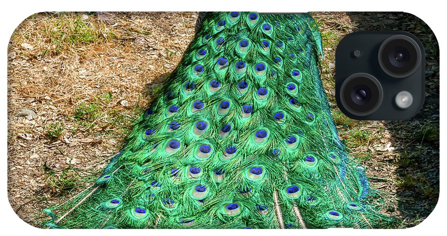 Peacock iPhone Case featuring the photograph Peacock, 4 #1 by Glenn Franco Simmons