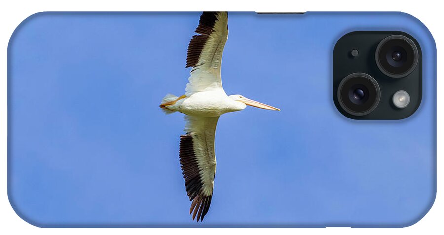 Pelicans iPhone Case featuring the photograph Pelican in Flight #1 by Shirley Dutchkowski