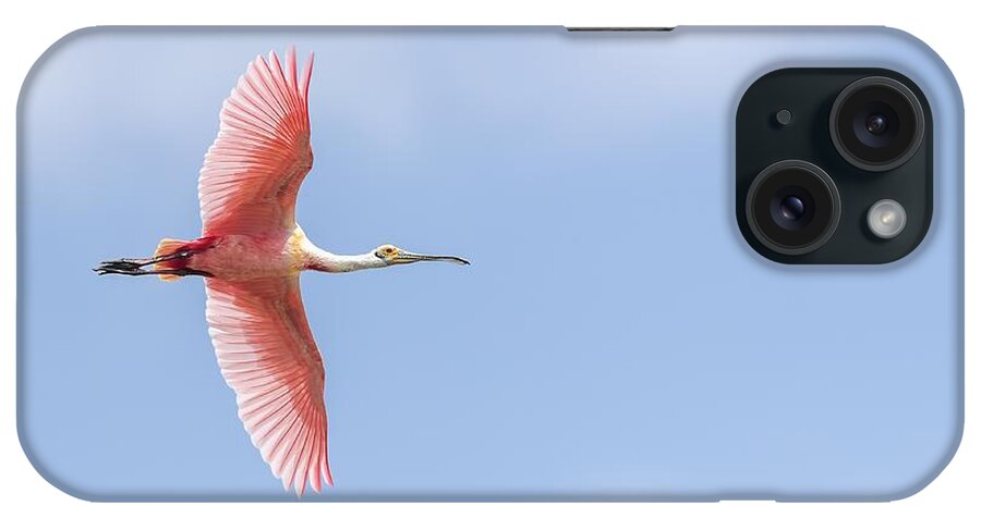 Roseate Spoonbill iPhone Case featuring the photograph Sky is the Limit by Puttaswamy Ravishankar