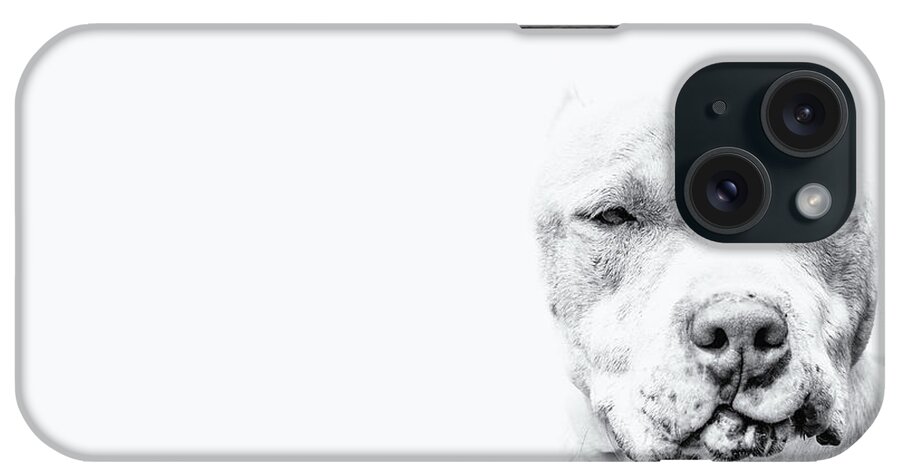 Dogs iPhone Case featuring the photograph Survivor #1 by Ghostwinds Photography