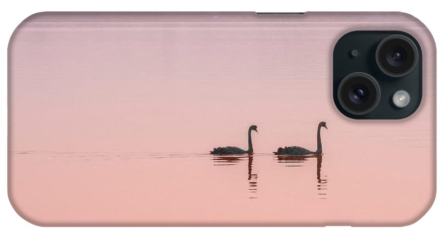 Swan iPhone Case featuring the photograph Swan Lake #1 by Frank Lee
