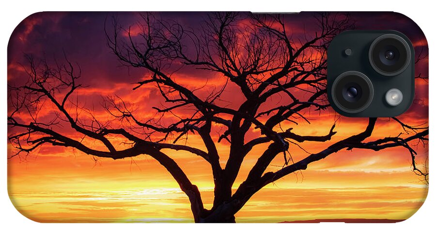 Taos iPhone Case featuring the photograph Taos Welcome Tree by Elijah Rael