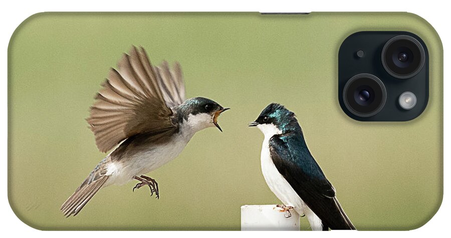 Bird iPhone Case featuring the photograph Tree Swallow #1 by Dennis Hammer