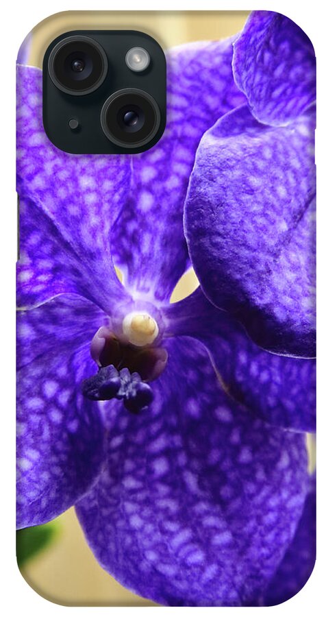 China iPhone Case featuring the photograph Vanda Orchid Portrait II by Tanya Owens