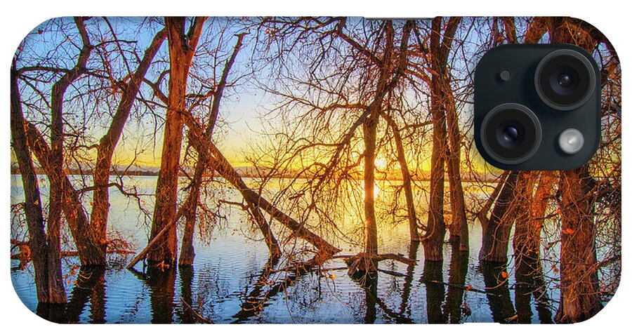 Autumn iPhone Case featuring the photograph Twisted Trees On Lake at Sunset by Tom Potter