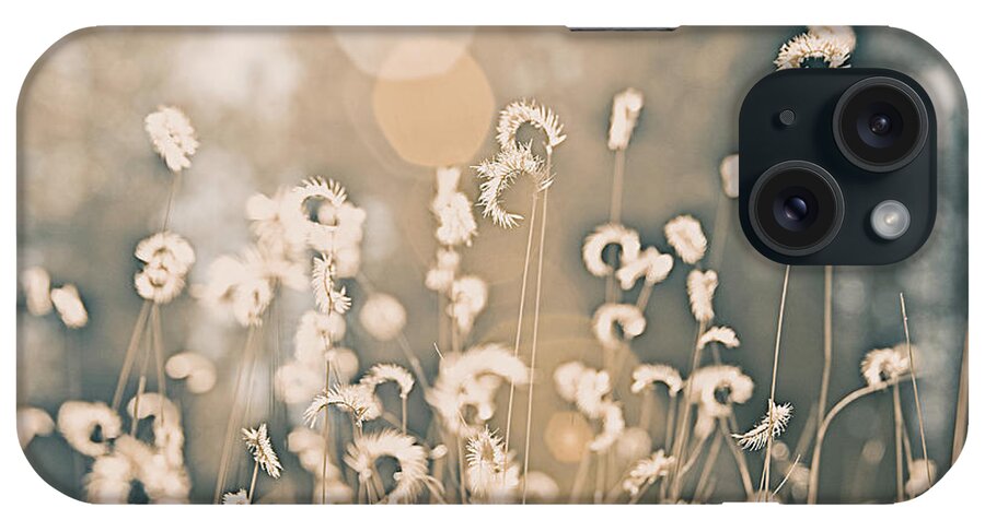 Wheat iPhone Case featuring the photograph Wheat Fields #1 by Carmen Kern