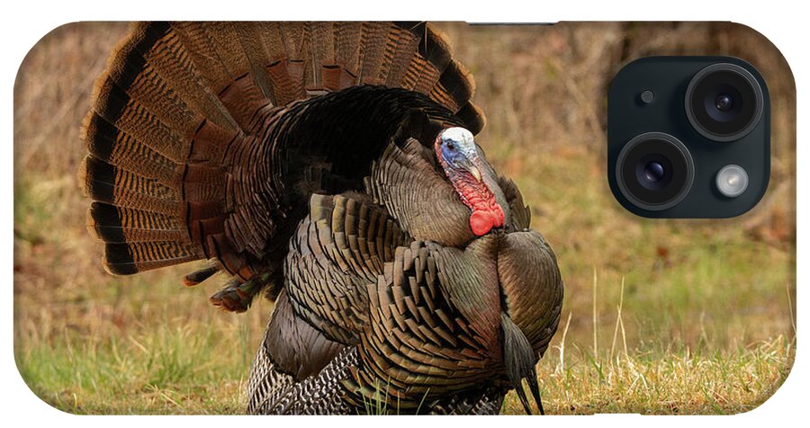 Turkey iPhone Case featuring the photograph Wild Turkey #1 by Doug McPherson