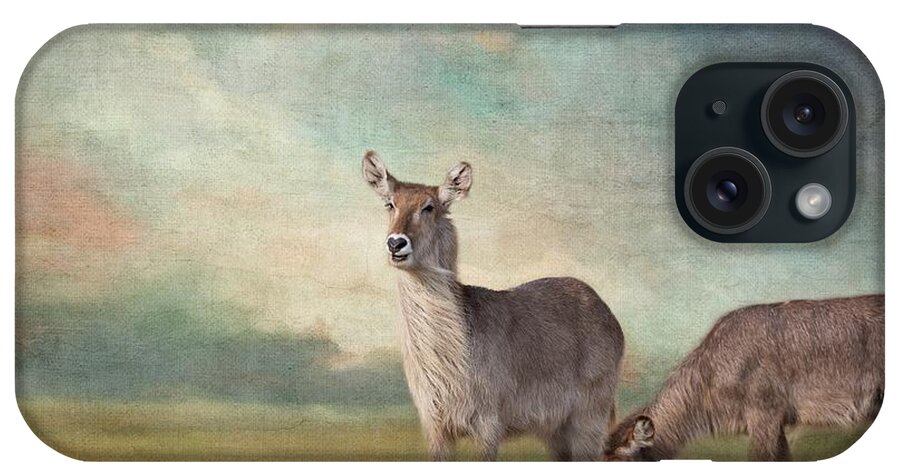 Waterbucks iPhone Case featuring the photograph Windy Morning #1 by Eva Lechner