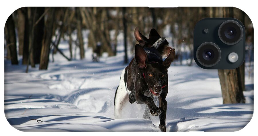 Gsp iPhone Case featuring the photograph Winter Fun #1 by Brook Burling