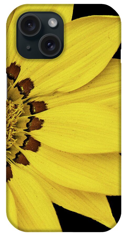 Yellow Flower Black Background iPhone Case featuring the photograph Yellow Flower #4 by David Morehead