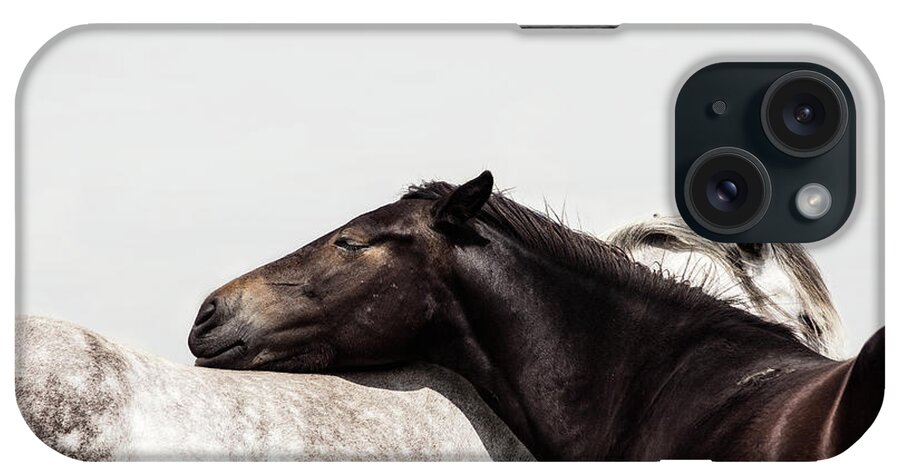 Photographs iPhone Case featuring the photograph You mean the world to me - Horse Art #1 by Lisa Saint