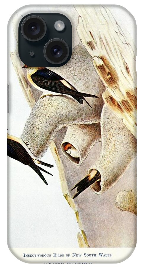 Birds iPhone Case featuring the mixed media Beautiful Vintage Bird #1038 by World Art Collective