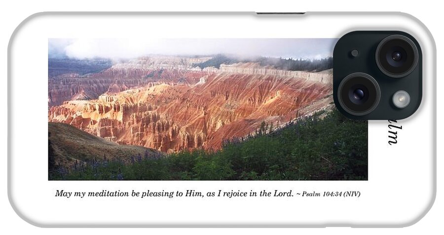 Richard E. Porter iPhone Case featuring the photograph 104th Psalm-Cedar Breaks with Flowers by Richard Porter