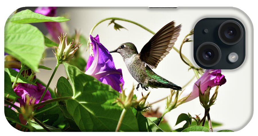 Anna's Hummingbird iPhone Case featuring the photograph Anna's Hummingbird #11 by Amazing Action Photo Video